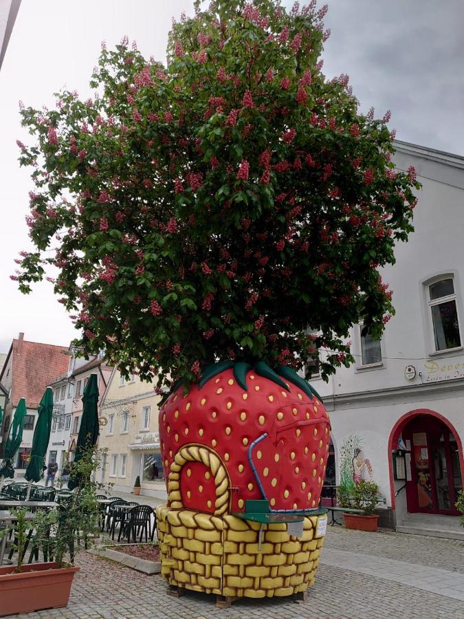 Ferienwohnungen Boegner Günzburg Екстериор снимка